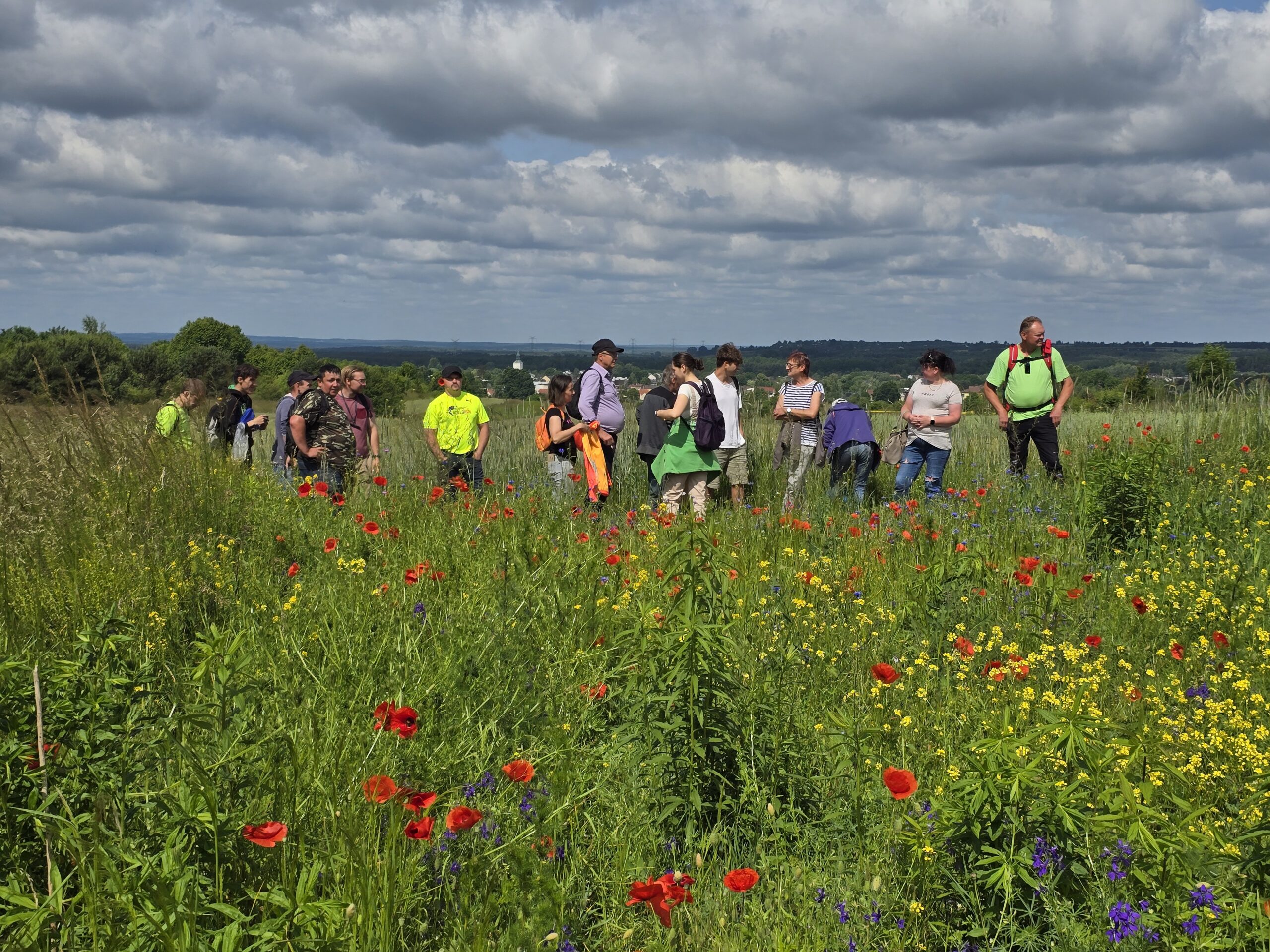 Jaką moc ma&nbsp;decyzja kierownika CIS? Nowa ekspertyza prawna Akademii NGO